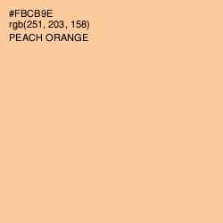 #FBCB9E - Peach Orange Color Image